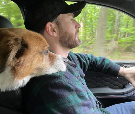 Фото дня: Крис Эванс за рулем со своей собакой призывает брать питомцев из приюта