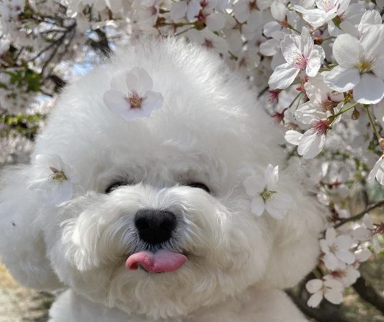 5 клипов ВКонтакте, которые помогут расслабиться после тяжелой недели