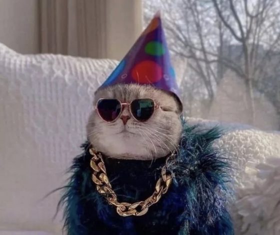 5 Клипов ВКонтакте, чтобы нескучно провести время