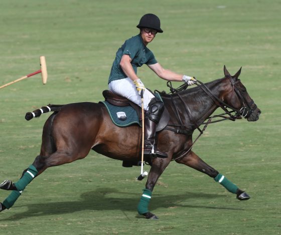 Слух дня: принц Гарри засмотрелся на декольте другой девушки во время игры в поло и упал с коня