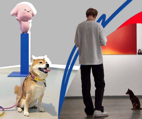 Топ-7 дог-френдли мест в Москве