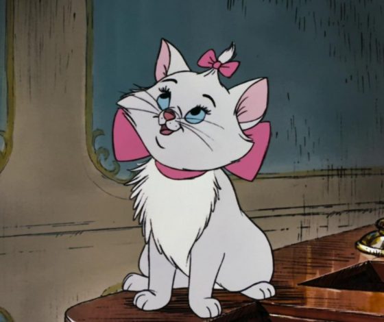 Тест: какой ты котенок