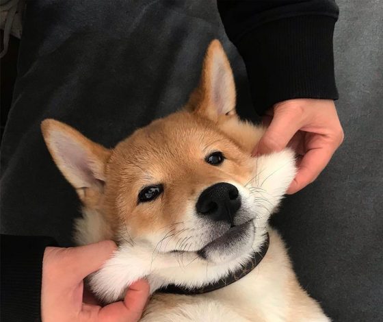 5 клипов ВКонтакте для тех, кто хочет отдохнуть