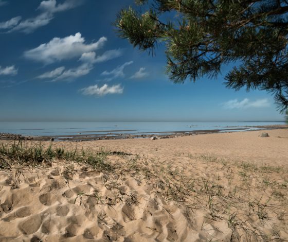 Стресс, прощай: как справиться с ментальной усталостью и начать жить полноценно?