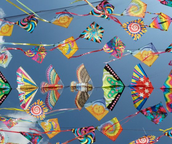 Планы на выходные 9-10 июля: летний Vintage Marketplace, фестиваль воздушных змеев на Усачевском и вечеринка в Blanc