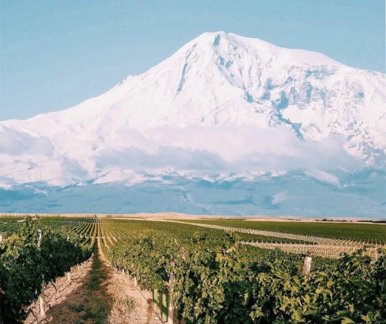 Планы на выходные 2-3 июля: вечеринка Plastilin, бранч в Leveldva и фестиваль в Архангельское Аутлет