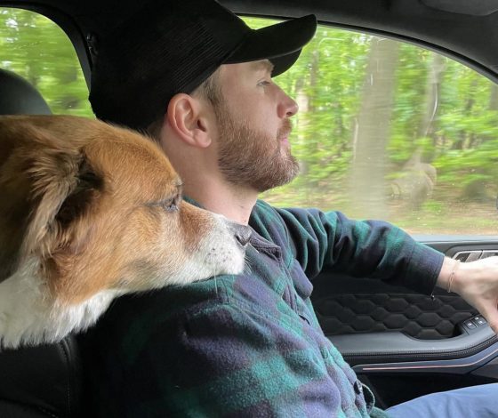 Как выглядит собака Криса Эванса по кличке Доджер, которая стала главной звездой Сети?