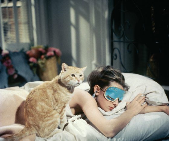 5 сновидений, которые предсказывают счастливые события в жизни