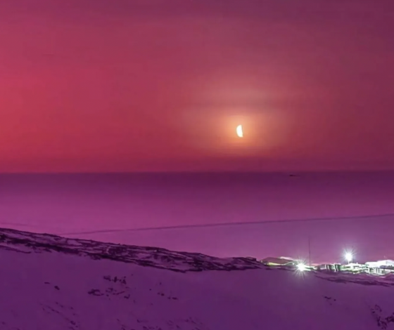 «Хотите верьте, хотите нет, но я не редактировал цвета»: небо Антарктиды окрасилось в розовый цвет