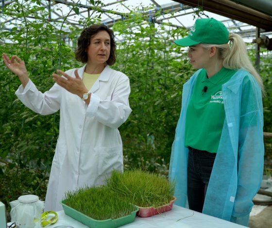 Тяжелая работа: в новом реалити-шоу блогеры отправились на заводы