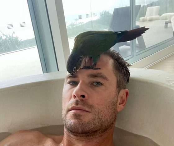 Фото дня: Крис Хемсворт с попугаем на голове