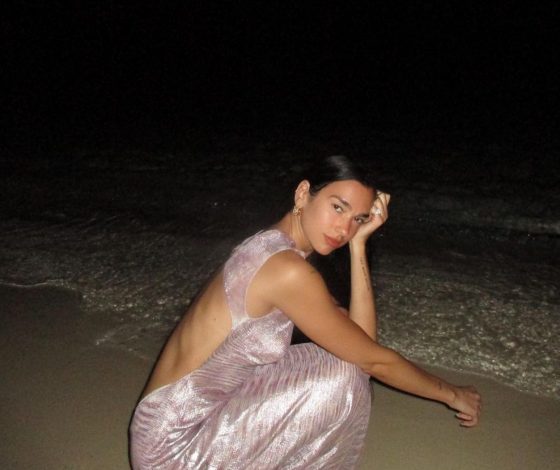 Дуа Липа в нежно-розовом платье с оголенной спиной на пляже