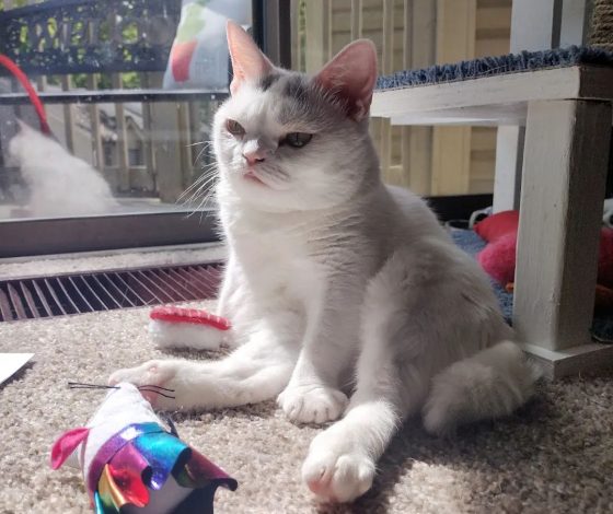 Лучшее за август: топ-10 самых крутых материалов