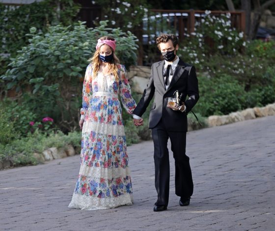 СМИ: Гарри Стайлс и Оливия Уайлд расстались