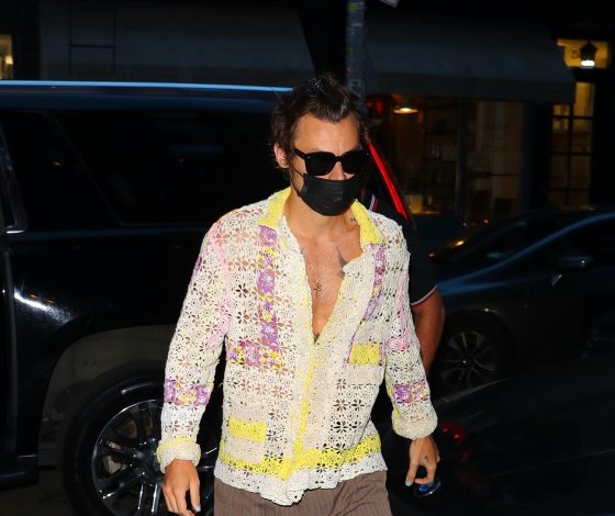 Гарри Стайлс ходит на свидания в расстегнутой  рубашке в технике кроше и свободных брюках