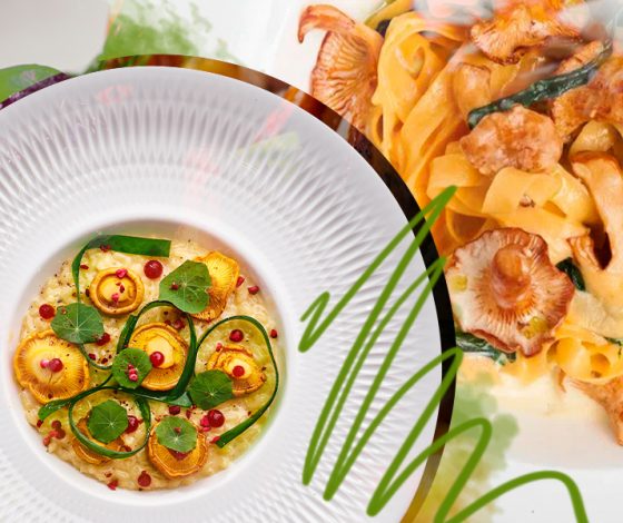 Грибы цвета солнца: 12 мест, куда стоит идти пробовать блюда с лисичками