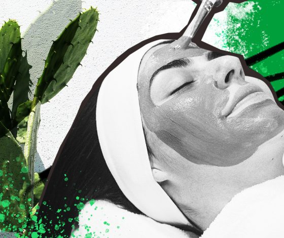 «Ледяные грибы» и кактусы для ухода за кожей: неожиданные бьюти-ингредиенты, на которые стоит обратить внимание, от колумниста PEOPLETALK и автора канала «Цена красоты»