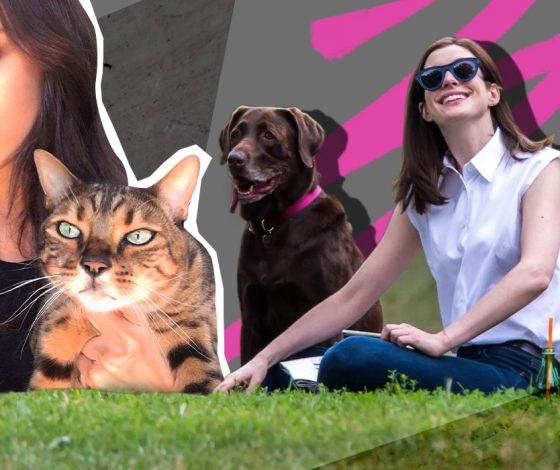 Альтернатива зарубежных кормов для кошек и собак: как перевести домашнего питомца на новое питание