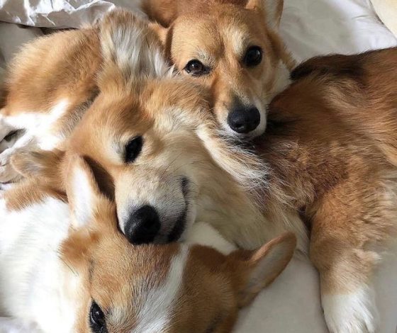 5 VK Клипов, которые ты захочешь переслать друзьям