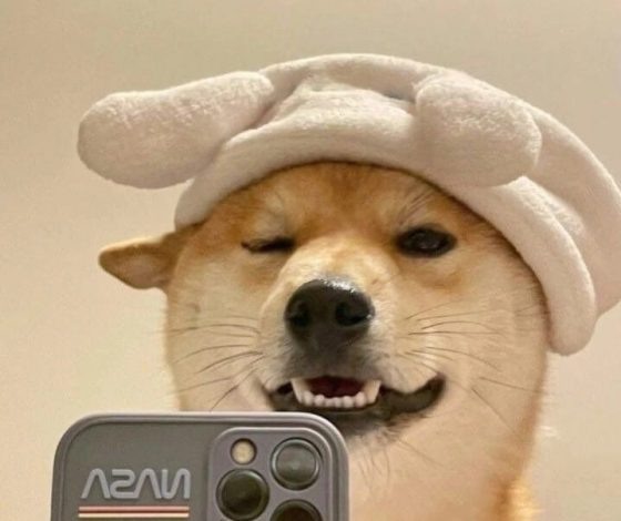 5 клипов ВКонтакте для хорошего настроения