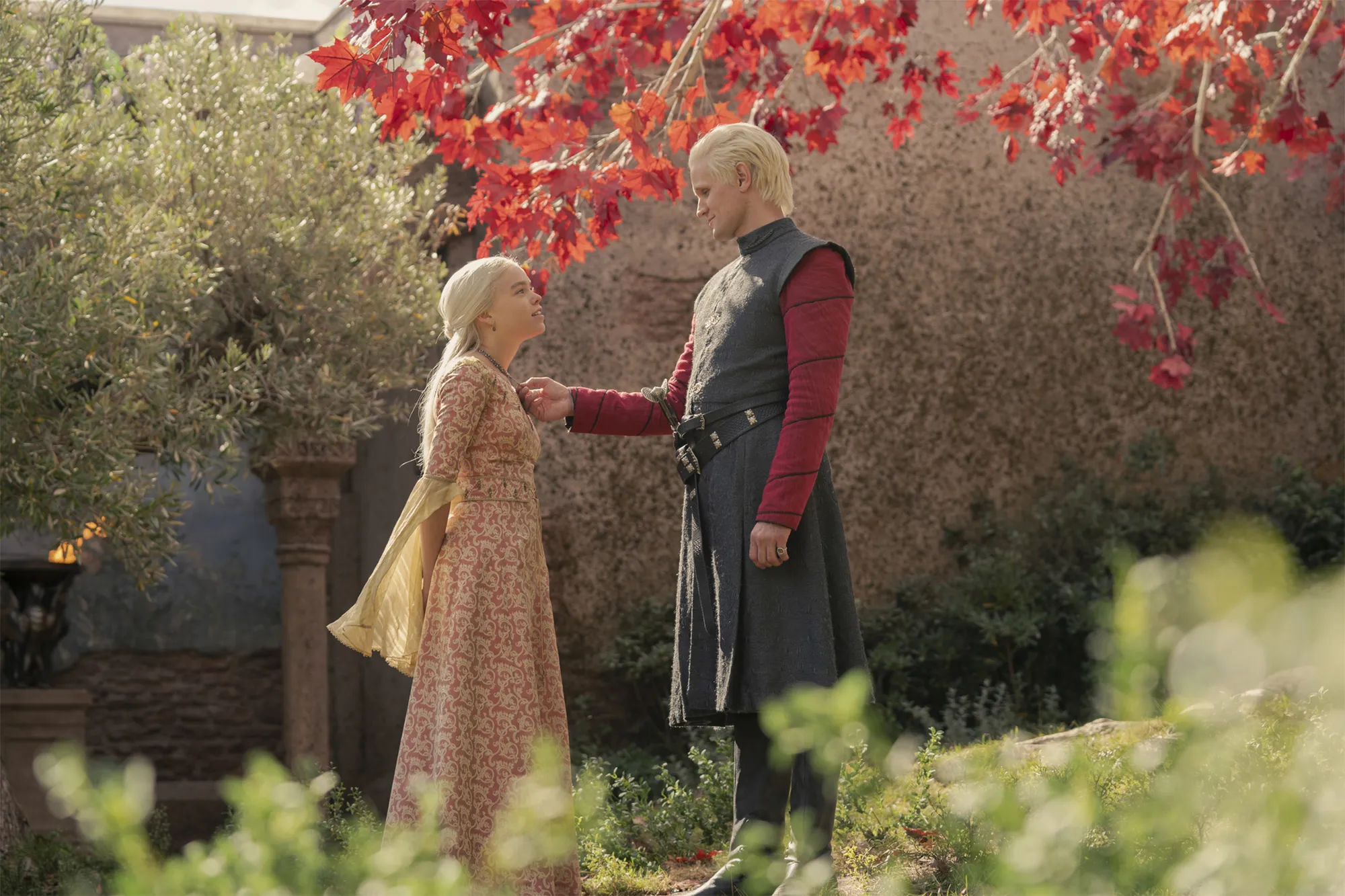 The series “Dragon House” has been officially renewed for a third season.