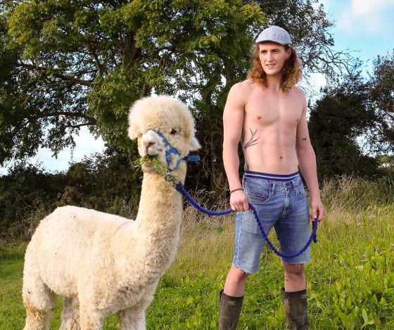 Альпака, котята и кролики: ирландские фермеры снялись топлес с милыми животными для календаря