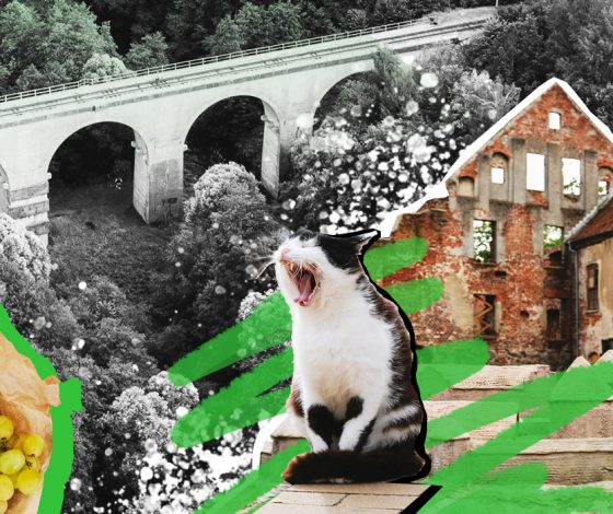 5 неочевидных мест Калининградской области: где пробовать регион на вкус, смотреть на рыцарские замки и купаться в ледниковом озере