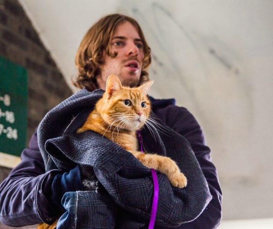 На Земле родился редкий шестилапый кот