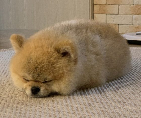 5 клипов ВКонтакте, которые помогут расслабиться