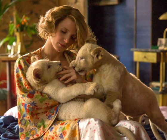 Топ-5 любимых питомцев звезд