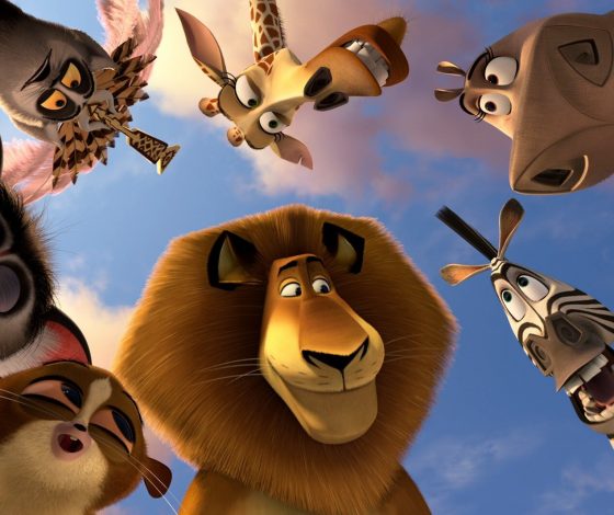 Тест: какое ты животное?