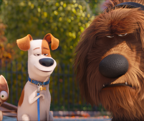 Тест: какая собака тебе подходит?