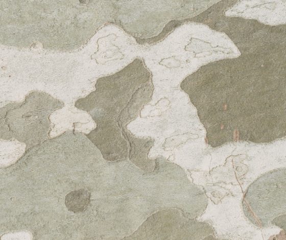 Что делать, если женщине-медику пришла повестка из военкомата?