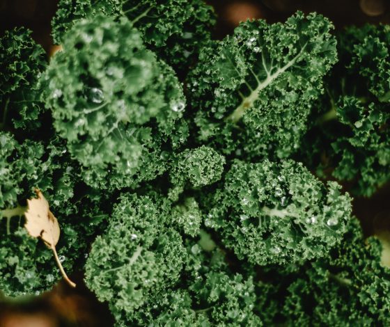 Антистрессовое меню: 10 продуктов, снижающих стресс и тревожность