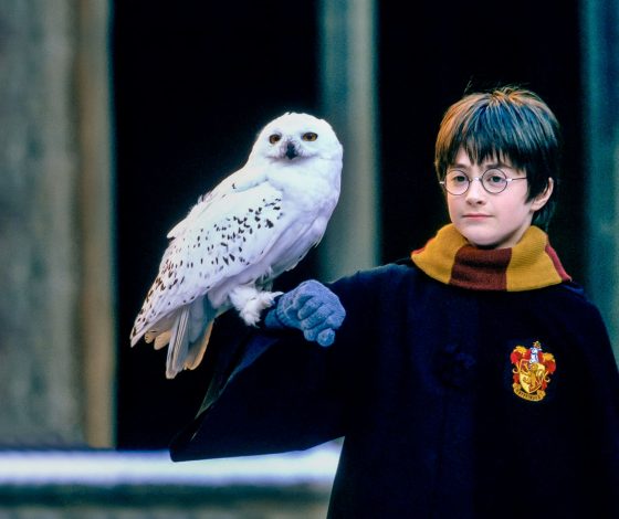 Кто ты из «Гарри Поттера» по знаку зодиака?