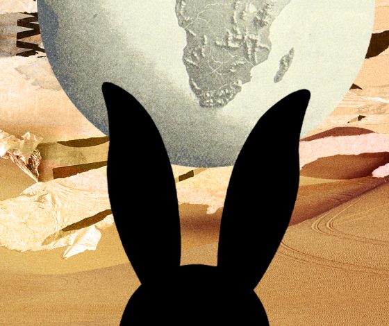 Черный Водяной Кролик: прогноз на 2023 год для всех