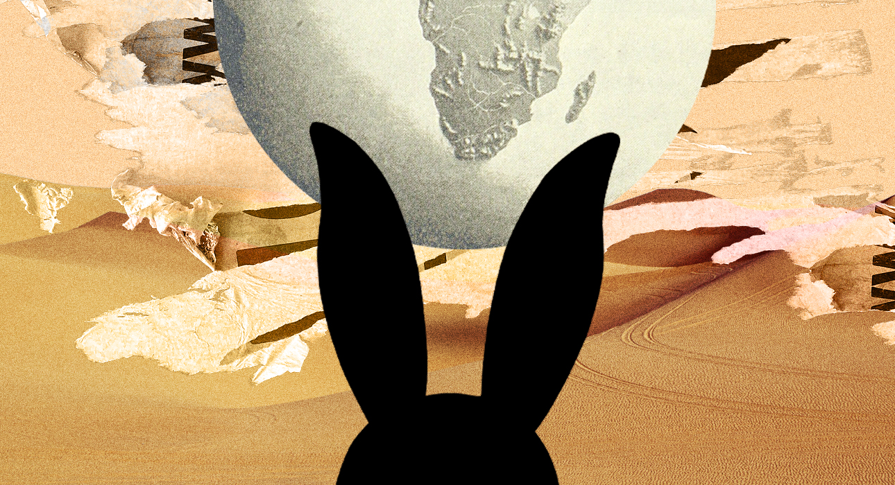 Black Water Bunny: 2023 forecast for everyone
