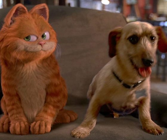 Пушистый серотонин: как животные помогают справляться с тревогой?