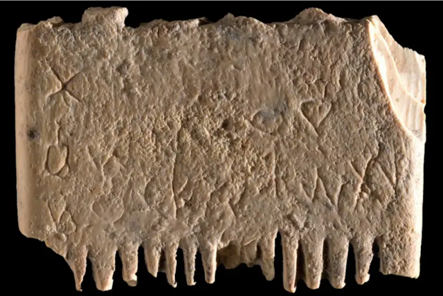 Самая древняя буквенная надпись оказалась о… вшах