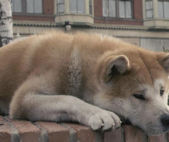 Тест: умеешь ли ты ждать?