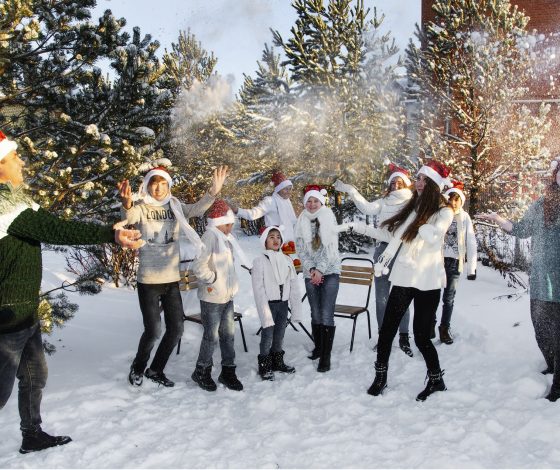 «Оливье добра» в каждый дом: организация «Детские деревни SOS» запустила благотворительную акцию перед Новым годом