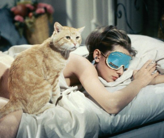 Ученые назвали оптимальное время для сна. И это не 8 часов