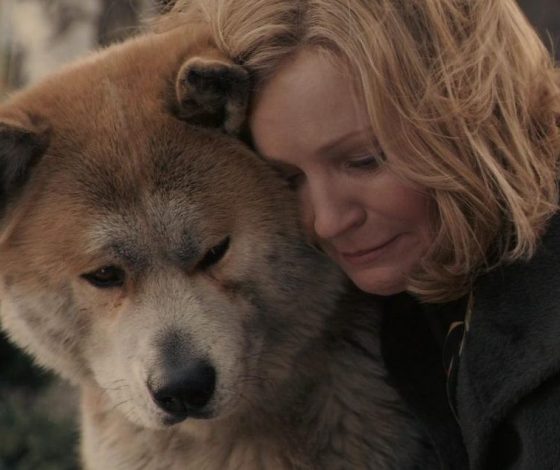 Время добрых новостей: на Аляске пара занимается выгулом собак и возит их в школьном автобусе