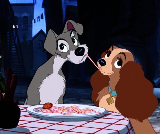 Самые умные животные на планете