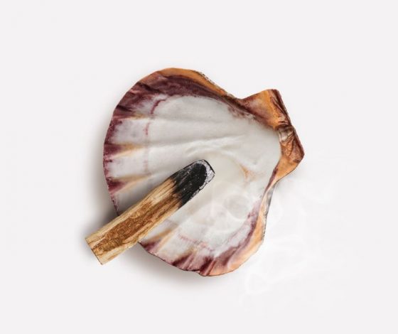 Пало Санто: что это такое и как правильно его жечь?