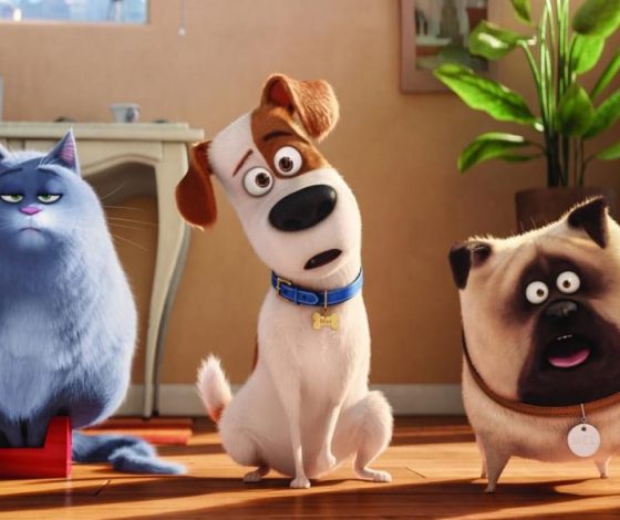 Тест: угадай фильм по кадру с животным