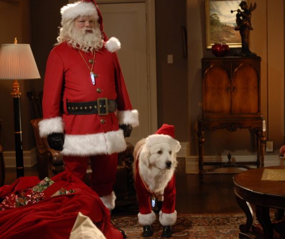 Веселое с полезным: благотворительная акция в баре «Собаки в тумане»