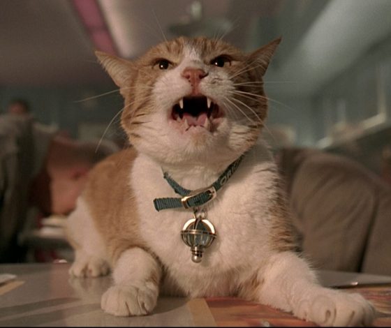 Появилась игра про вредного кота, который пытается испортить жизнь соседям