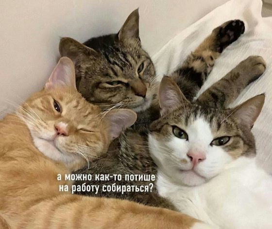 Еду зарабатывать стресс: лучшие мемы про первый рабочий день в этом году
