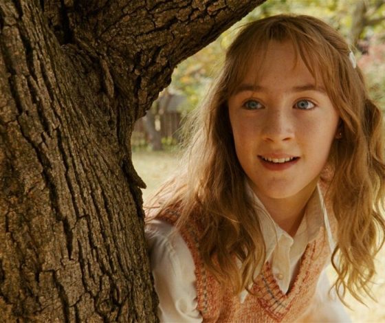 Милее этого ты сегодня ничего не увидишь: в Московском зоопарке вылупились два пингвиненка